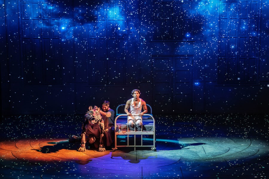 Yann Martel's epic Life of Pi returns to The Lowry