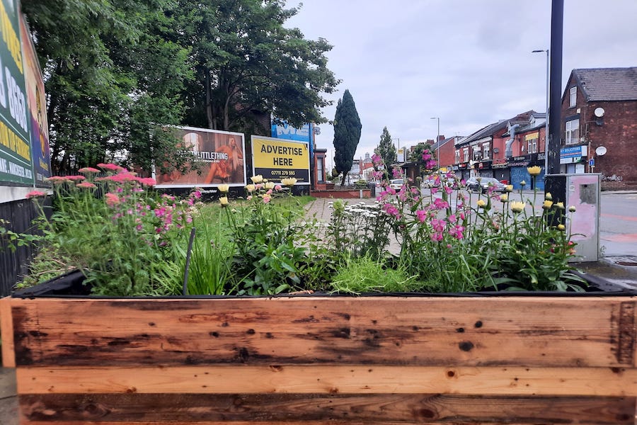 Levenshulme in Bloom